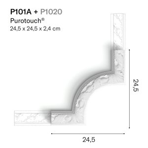 p101a orac
