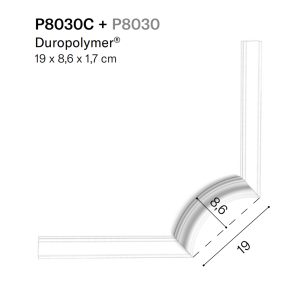 p8030c Orac